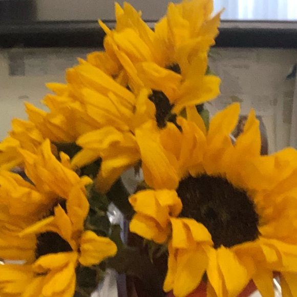 Meet your Posher, Georgiet - Picture 1 of 1